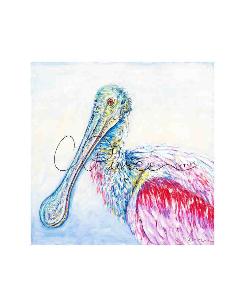 "Spoonbill in a Dream" Print